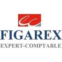 Figarex logo - Similar company to Velocity Financial Planning