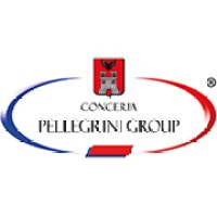 Pellegrini Group logo - Similar company to Pellegrini Srl