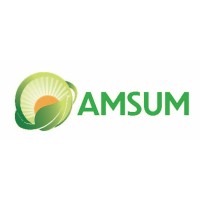 AMSUM logo - Similar company to Kerasom