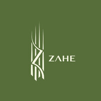 Zahe Infra logo - Similar company to Digitalcontech