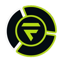 Flanem logo - Similar company to We Got Nerds