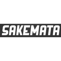 SAKEMATA GROUP logo - Similar company to Nuorisokeskus Piispala