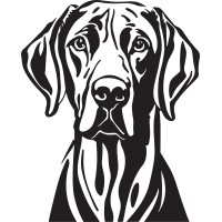 James Henderson Online logo - Similar company to Vault Payment Solutions