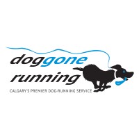 Dog Gone Running
