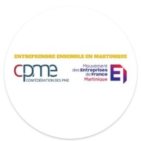 Entreprendre Ensemble en Martinique logo - Similar company to Cee Martinique