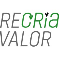 RECRIA VALOR logo - Similar company to Usiman | Usinagem, Manutenção E Engenharia Industrial Em Serra, Es
