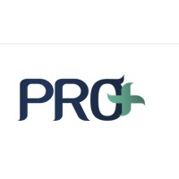 PRO PLUS Businessmen Services logo - Similar company to Qaxis Management Consultants