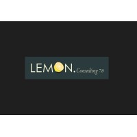 Lemon Consulting 7.0 logo - Similar company to Lemon Consulting
