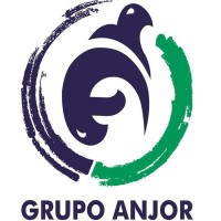 GRUPO ANJOR logo - Similar company to Kay Curzi Group
