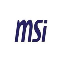 Money Solutions Inc logo - Similar company to Lease Admin