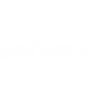 Netsoftit logo - Similar company to Netsoft Consulting Services (P) Ltd
