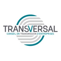 TRANSVERSAL logo - Similar company to Wfv Advisory