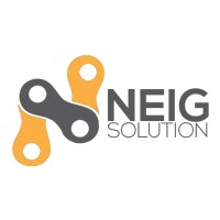 NEIGSOLUTION logo - Similar company to Fabrizio Bogli