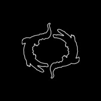 Crocodile Grading logo - Similar company to Parratv