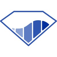 Liquid Diamonds logo - Similar company to Diamond Technology Solutions
