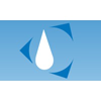 Techenomics International logo - Similar company to Cesscon Group