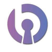 Briska Info Tech Canada Inc logo - Similar company to Webmount Studio