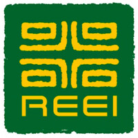 Rock Environment And Energy Institute