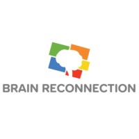 Brain Reconnection