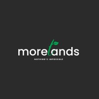Morelands Group logo - Similar company to Quicksilva Group