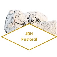 JDH Pastoral logo - Similar company to Australian Agri Finance