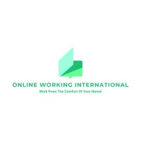 Online Working International (OWI) logo - Similar company to Megasoft | Totmega Llc