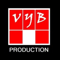 VYB Production logo - Similar company to Seven Digital Agency