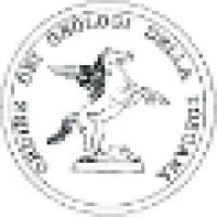 Geologo LISI Daniele logo - Similar company to Geologo Llc