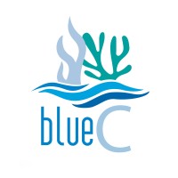 BlueC logo - Similar company to Bluec Aps