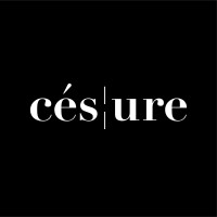 Studio Césure logo - Similar company to Tching