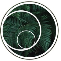 Natural Mystery School