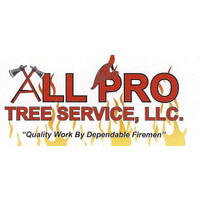 All Pro Tree Sevice logo - Similar company to Brampton Valley Group Ltd
