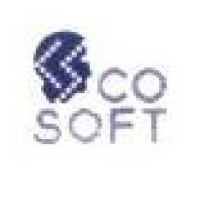 Cosoft India Limited logo - Similar company to Smart Mirrors