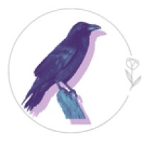 Raven - Support Network logo - Similar company to Elgin Immigration