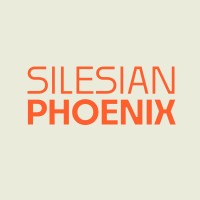 Silesian Phoenix logo - Similar company to Skn Control Engineers