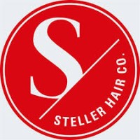 Steller Hair Company logo - Similar company to Diagnostic Network