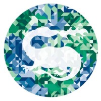 Salamander DAO logo - Similar company to Six Paths Consulting