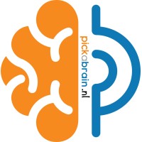 PickaBrain logo - Similar company to Plan Systems