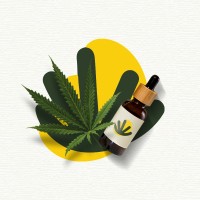 Alternativa Hemp logo - Similar company to Pixua Lab