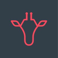 redgiraffe logo - Similar company to Idg Acumen