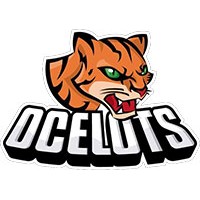 Ocelots Futebol Americano logo - Similar company to Fynz Group