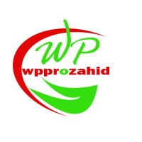 Wppro Zahid logo - Similar company to Codermynds