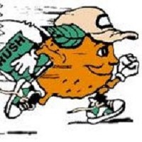 Orange Courier, Inc. logo - Similar company to Stg Express