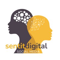 Sentit Digital logo - Similar company to Elevation Digital Media