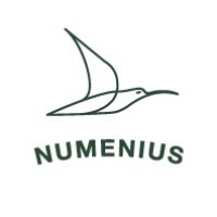 NUMENIUS TOURS SL logo - Similar company to Cruiselife.Pro
