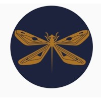 Moveo Filmes logo - Similar company to Fabrika Filmes