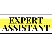 Expert Assistant logo - Similar company to Skyone Technologies