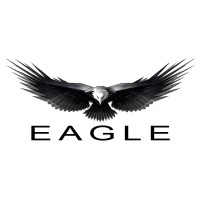 Eagle ITG logo - Similar company to Eagle It, Inc