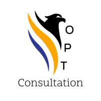OPT consultation logo - Similar company to Siview