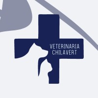 Veterinaria Chilavert logo - Similar company to Veterinaria Cabildo